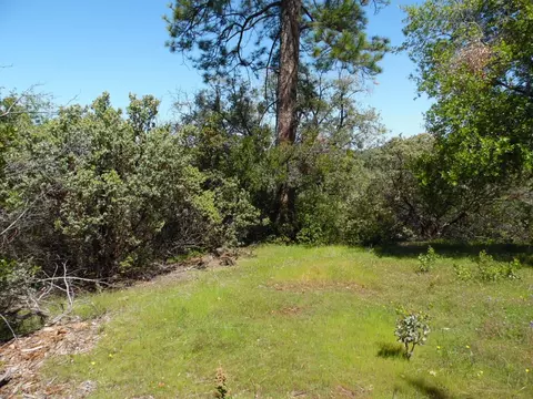 6101 Pappalardo Promenade, Murphys, CA 95247 photo 13