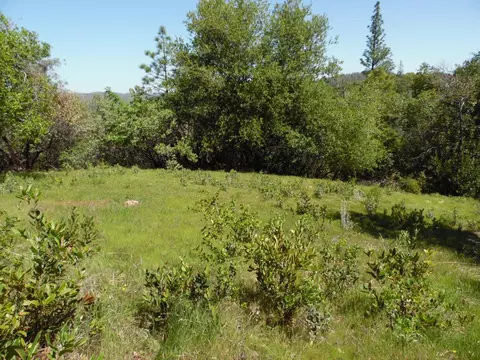6101 Pappalardo Promenade, Murphys, CA 95247 photo 3
