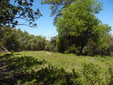 6101 Pappalardo Promenade, Murphys, CA 95247 photo 4