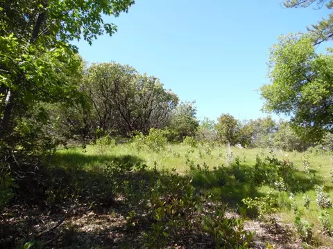 6101 Pappalardo Promenade, Murphys, CA 95247 photo 7