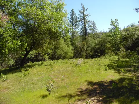 6101 Pappalardo Promenade, Murphys, CA 95247 photo 1
