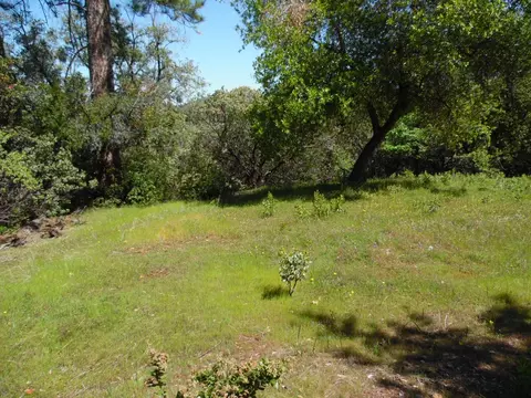 6101 Pappalardo Promenade, Murphys, CA 95247 photo 12
