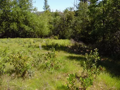 6101 Pappalardo Promenade, Murphys, CA 95247 photo 14