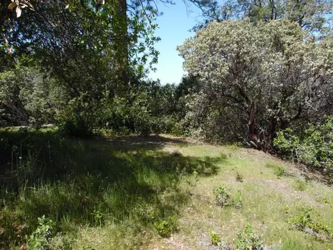 6101 Pappalardo Promenade, Murphys, CA 95247 photo 9