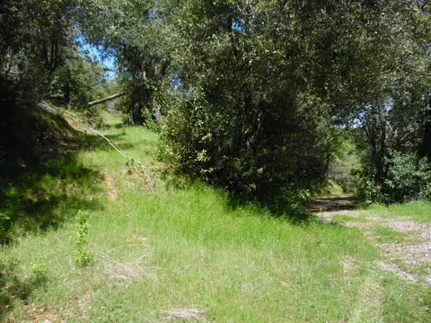 6101 Pappalardo Promenade, Murphys, CA 95247 photo 18