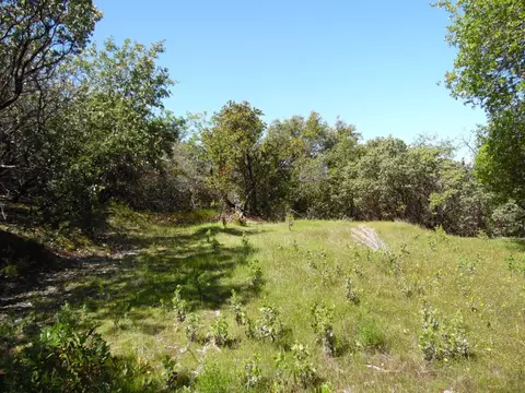 6101 Pappalardo Promenade, Murphys, CA 95247 photo 5