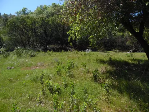 6101 Pappalardo Promenade, Murphys, CA 95247 photo 11