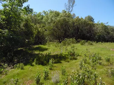 6101 Pappalardo Promenade, Murphys, CA 95247 photo 6
