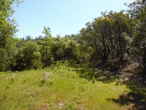 6101 Pappalardo Promenade, Murphys, CA 95247 photo 10