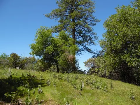 6101 Pappalardo Promenade, Murphys, CA 95247 photo 8