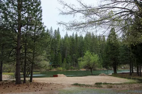 2269 Meadow Dr, Arnold, CA 95223 photo 8