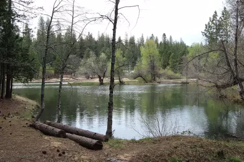 2269 Meadow Dr, Arnold, CA 95223 photo 7