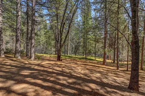 3025 Black Bear Dr, Arnold, CA 95223 photo 51