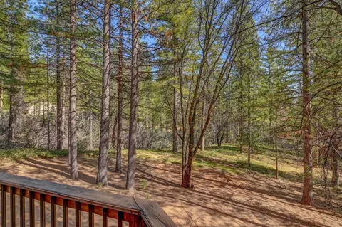 3025 Black Bear Dr, Arnold, CA 95223 photo 38