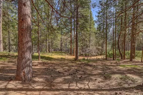 3025 Black Bear Dr, Arnold, CA 95223 photo 52