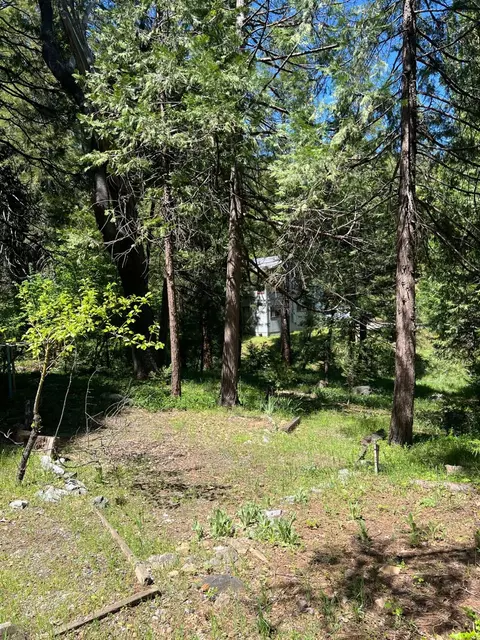 2004 Fifth Green Dr, Arnold, CA 95223 photo 19