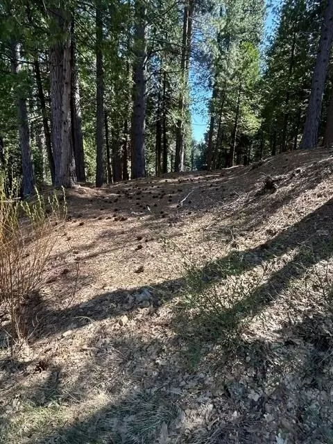 2179 Navajo, Dorrington, CA 95223