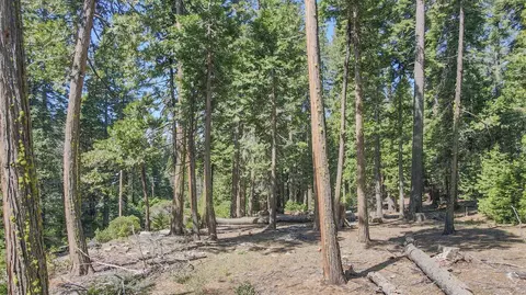 403 Sierra Pkwy, Camp Connell, CA 95223