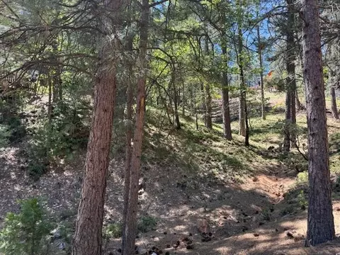 2477 El Dorado Dr, Arnold, CA 95223 photo 4