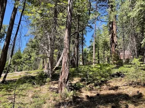 1474 Moran Rd, Arnold, CA 95223 photo 4