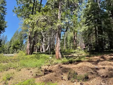 1474 Moran Rd, Arnold, CA 95223