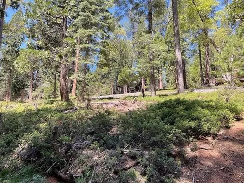 1474 Moran Rd, Arnold, CA 95223 photo 2