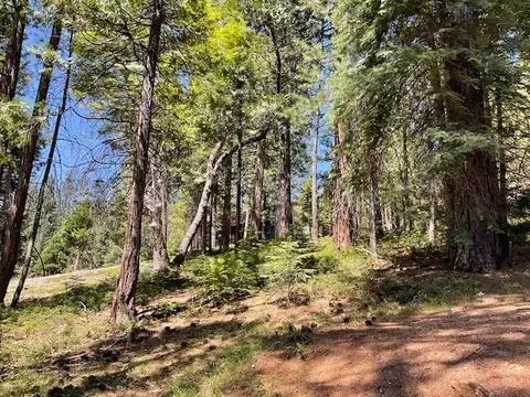 1474 Moran Rd, Arnold, CA 95223 photo 3