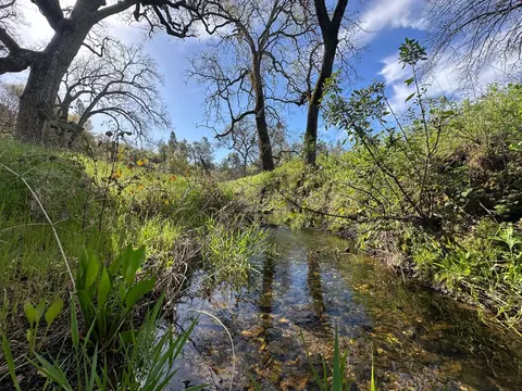 5889 Michel Rd, Mountain Ranch, CA 95246 photo 34