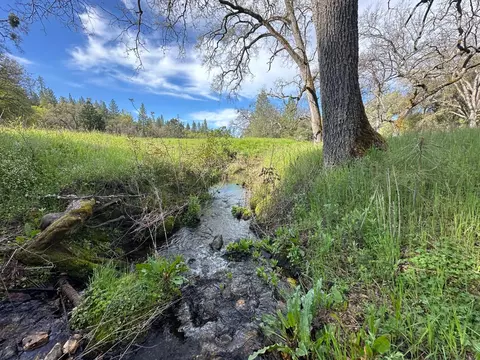 5889 Michel Rd, Mountain Ranch, CA 95246 photo 55