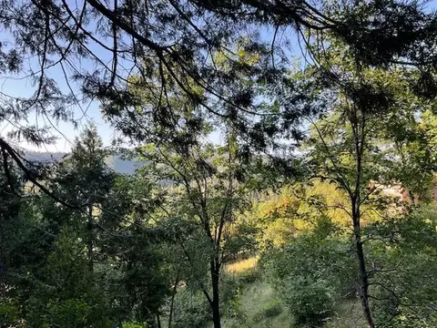 356 Snowberry Ct, Murphys, CA 95247