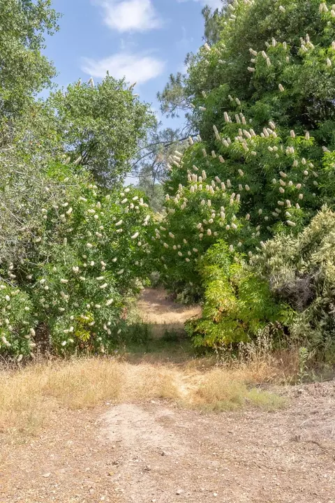 Other - 5535 Parrotts Ferry Rd, Vallecito, CA 95251 photo 7 of 11