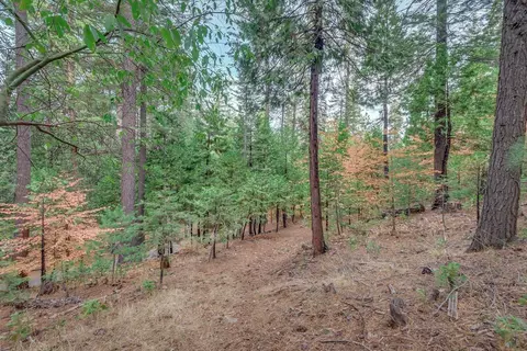 1685 Manzanita Dr, Arnold, CA 95223 photo 6