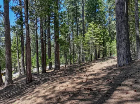 1955 Seminole Way, Arnold, CA 95223 photo 8