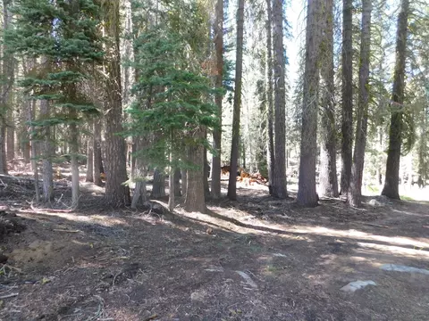 0 Kitch Trl, Tamarack, CA 95223