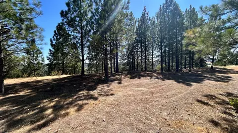 773 Red Fox Rd, Mountain Ranch, CA 95246