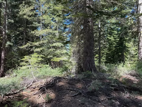 1 Blue Rock Trl, Dorrington, CA 95223