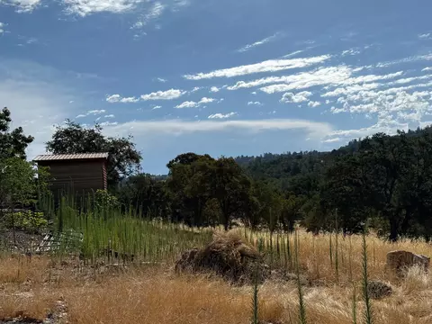 1026 Coyote Creek Rd, Murphys, CA 95247 photo 46