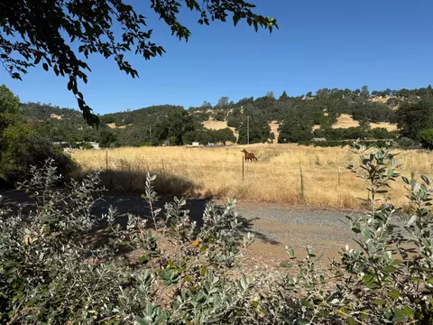 1026 Coyote Creek Rd, Murphys, CA 95247 photo 41