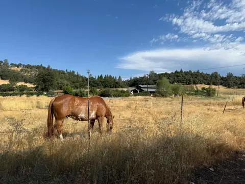1026 Coyote Creek Rd, Murphys, CA 95247 photo 31