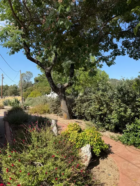 1026 Coyote Creek Rd, Murphys, CA 95247 photo 28