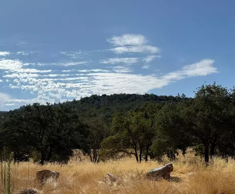 1026 Coyote Creek Rd, Murphys, CA 95247 photo 47