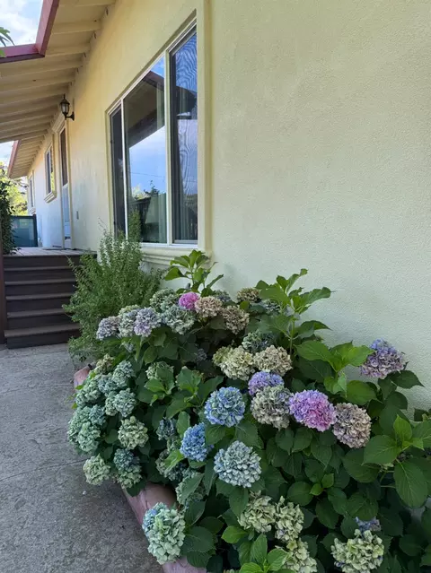 1026 Coyote Creek Rd, Murphys, CA 95247 photo 42