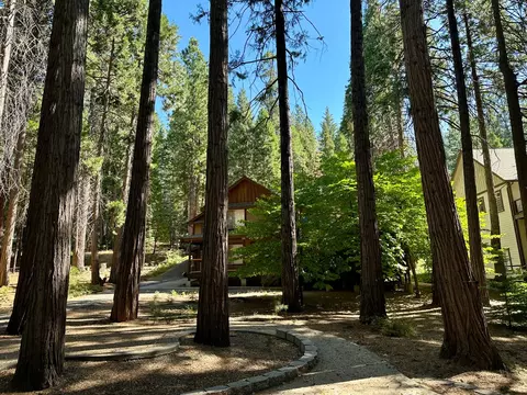 1428 Meadow Dr, Arnold, CA 95223 photo 11