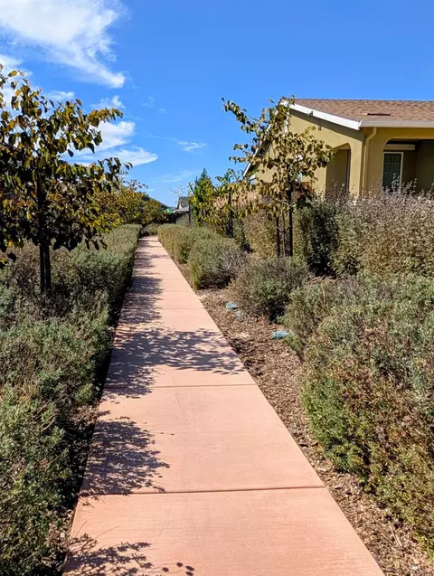 208 Raccoon Hollow Loop, Copperopolis, CA 95228 photo 41