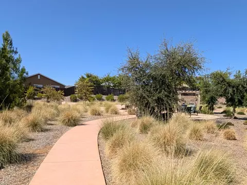 208 Raccoon Hollow Loop, Copperopolis, CA 95228 photo 40