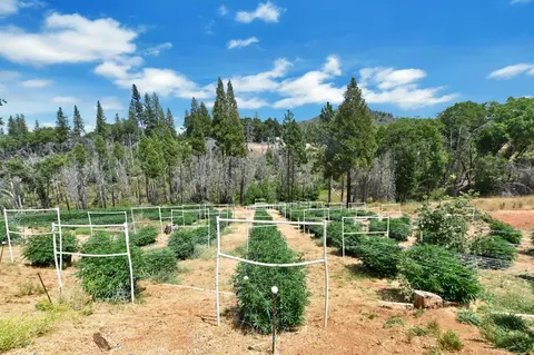 6640 Railroad Flat Rd, Mountain Ranch, CA 95246 photo 43