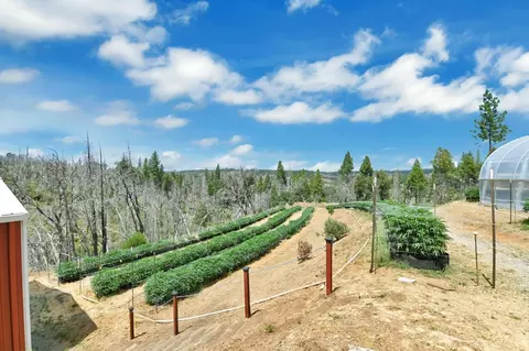 6640 Railroad Flat Rd, Mountain Ranch, CA 95246 photo 45