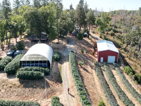 6640 Railroad Flat Rd, Mountain Ranch, CA 95246 photo 60