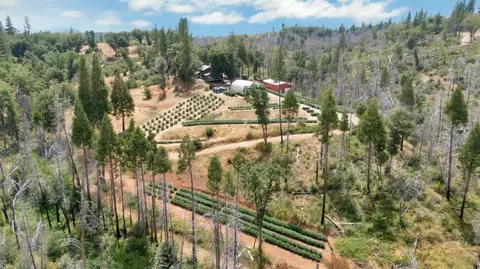 6640 Railroad Flat Rd, Mountain Ranch, CA 95246 photo 37