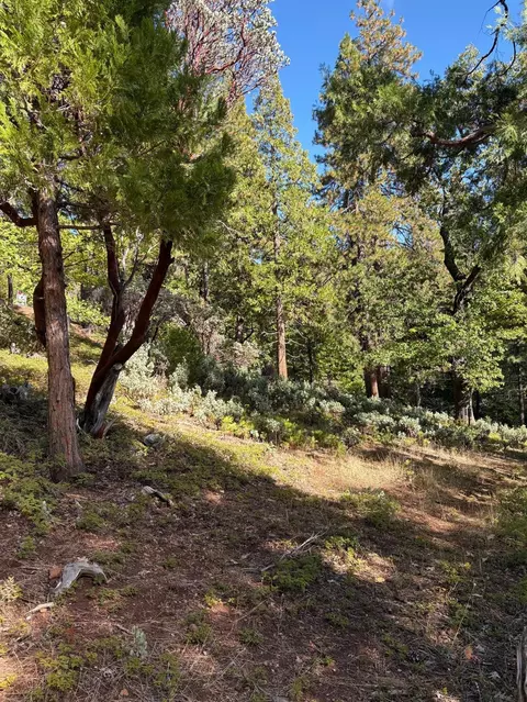 1984 Pine Cone Dr, Arnold, CA 95223 photo 4